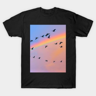 Birds Fly Over The Rainbow T-Shirt